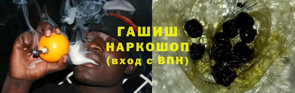 шишки Богородицк