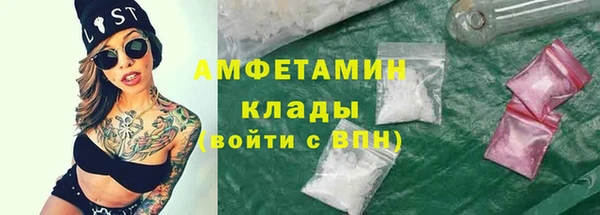шишки Богородицк