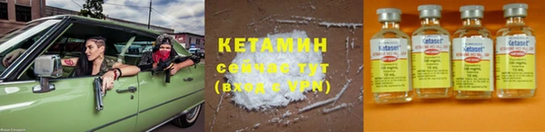 шишки Богородицк