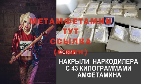 шишки Богородицк