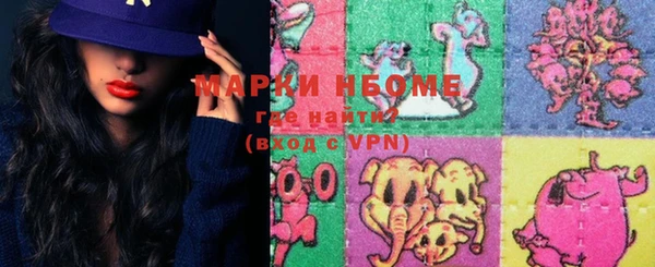 гашик Богданович