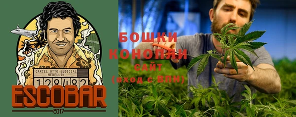 PSILOCYBIN Бугульма