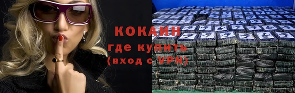 гашик Богданович