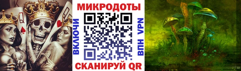 Псилоцибиновые грибы Psilocybine cubensis  Волчанск 